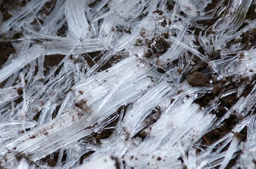 Snow Crystals.  Photo taken in the Mount Hood National Forest, OR.