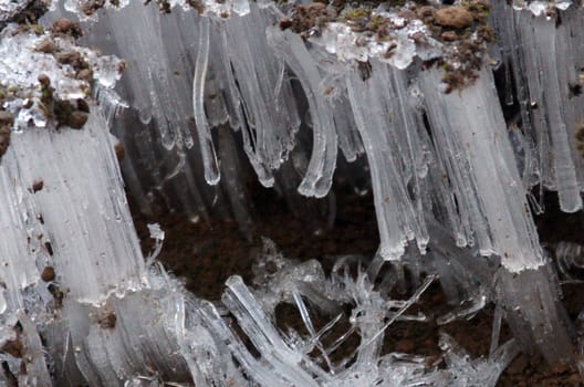 Snow Crystals.  Photo taken in the Mount Hood National Forest, OR.