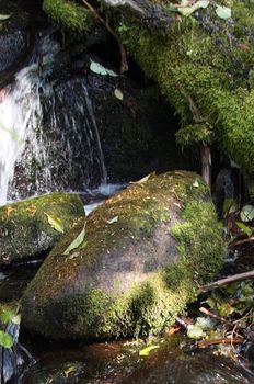 Mountain Stream.  Photo taken in the Mount Hood National Forest, OR.