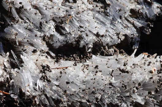 Snow Crystals.  Photo taken in the Mount Hood National Forest, OR.