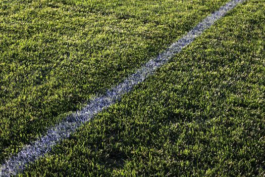 A white line in the grass of a sunlit sports field.
