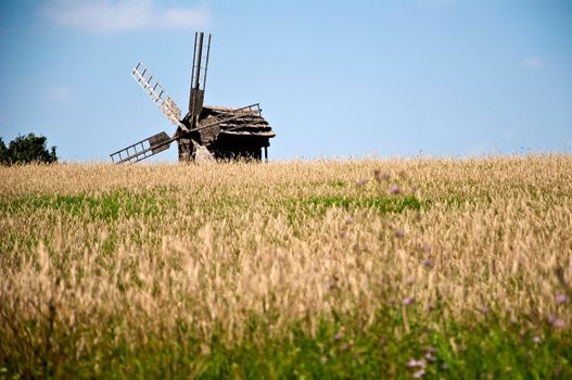 Wheat field and windmill with blue sky on background