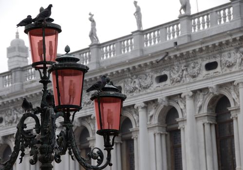 red street lights with pigeons in Venice, Italy