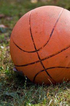 The orange ball in the grass. With distinctive lines that remind us that basketball.