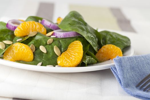 Fresh Spinach with mandarin oranges, red onions and a light orange honey dressing.