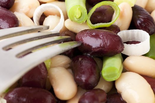 Close up of three bean salad with fresh kidney, cannellini, and green beans with green onions