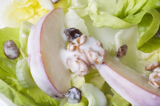 Close up of Waldorf salad with red apples, walnuts, raisins and celery covered in yogurt.