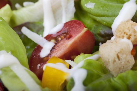 Tomato wedge snug in a bed of lettuce and croutons with creamy dressing.