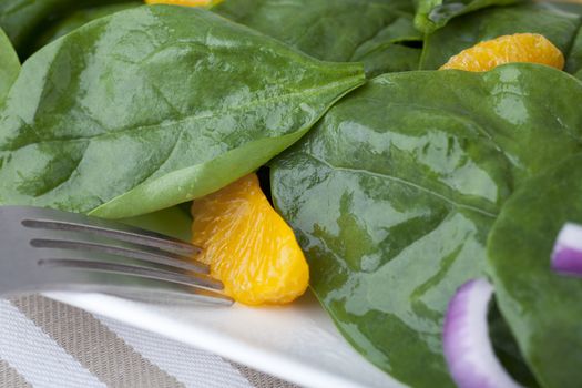 Fresh Spinach with mandarin oranges, red onions and a light orange honey dressing.