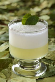 Peruvian cocktail called Coca Sour made of Pisco (Peruvian grape schnaps), coca leaves, lime juice, syrup and egg white (Selective Focus, Focus on the first coca leaf in the cocktail)