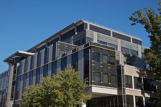 modern gray and black buliding with trees and blue sky