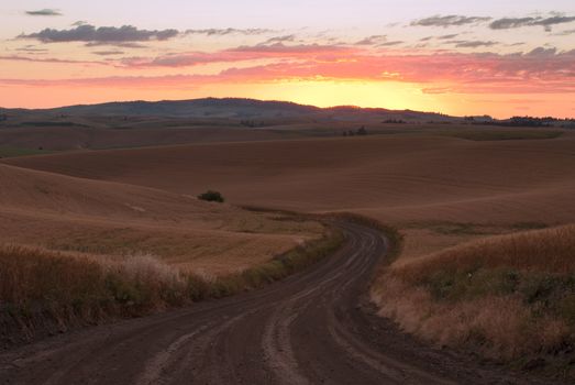 Dirt road, wheat fields and Paradise Ridge at sunset, Latah County, Idaho, USA