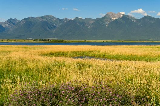 The Ninepipes National Wildlife Refuge and the Mission Mountains in summer, Lake County, Montana, USA
