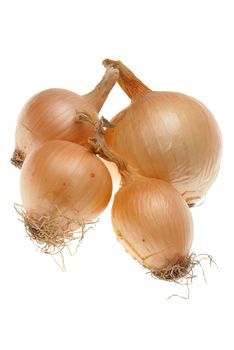 Four ripe onions isolated on a white background.