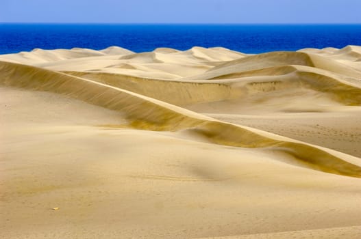 Landscape with sand dunes and the ocean in the bagground.