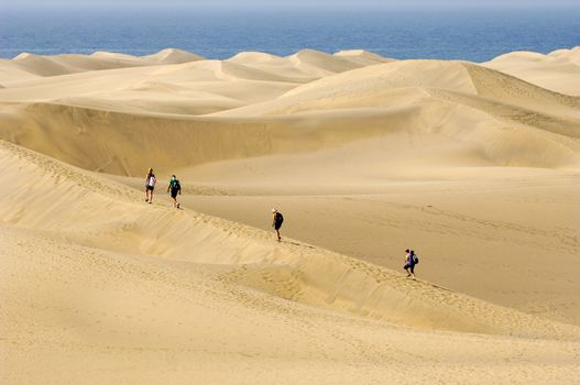 People are walking in the desert