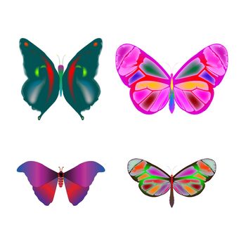 butterflies collection, art illustration