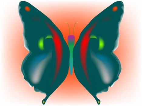 butterfly, vector art illustration