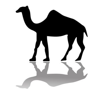 camel isolated on white, abstract art illustration