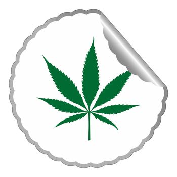 cannabis leaf label against white background, abstract vector art illustration