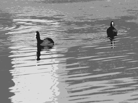 ducks swimming on water, vector grayscale composition; abstract art illustration
