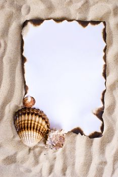 Burned paper on the sand with shells