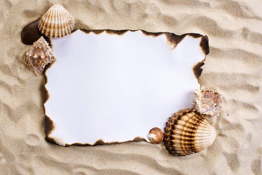 Burned paper on the sand with shells