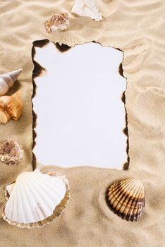 Burned paper on the sand with shells