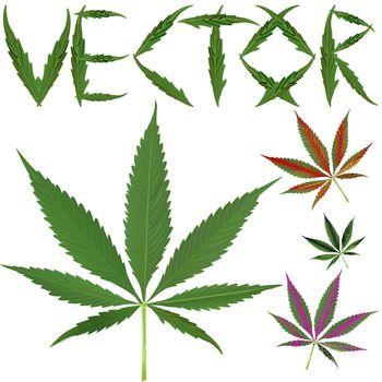 marijuana leafs vectors against white background, abstract art illustration