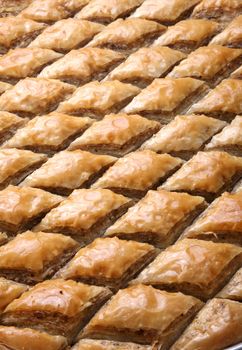Cutted Baklava in row ready to be served