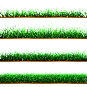 Green color grass illustration isolated on white
