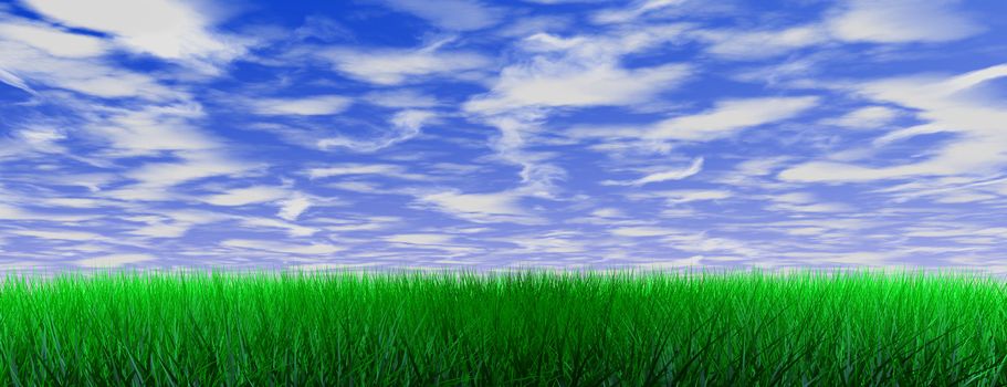 Green color grass illustration on blue sky