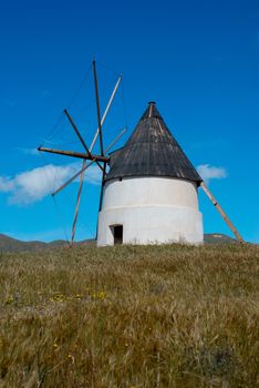 Traditional windmil amidst meadows