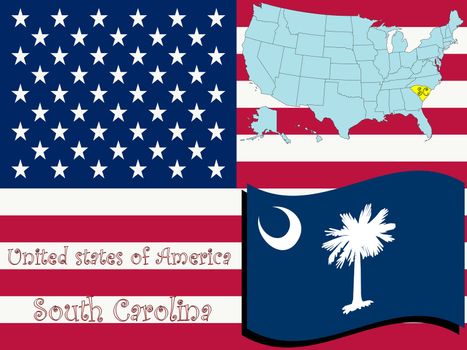 south carolina state illustration, abstract vector art