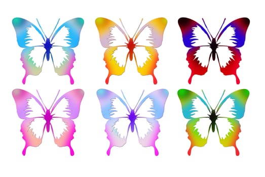 Colorful butterflies