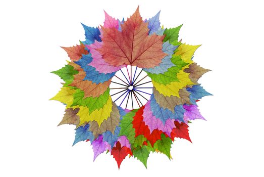Circles, multi-colored leaves.