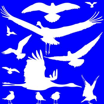 white birds silhouettes over blue, abstract art illustration