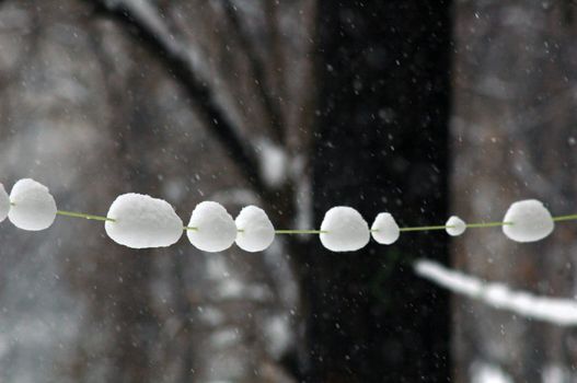 close up with snowy wire, tree on background without focus