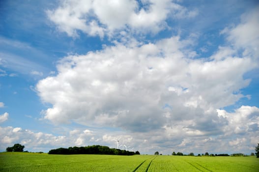 Landscape with green field and cloudscape. In the background you can see five wind turbines.