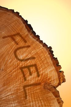 Cross section of tree trunk with word 'FUEL' . Warm light background.