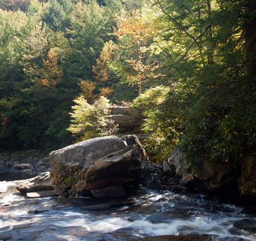 Fallen leaves in fall in river by edge of waterfall