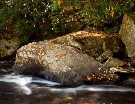 Fallen leaves in fall in river by edge of waterfall
