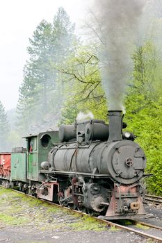 narrow gauge railway, Banovici, Bosnia and Hercegovina