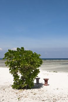 Rest in peace in a beach with stool and a tree