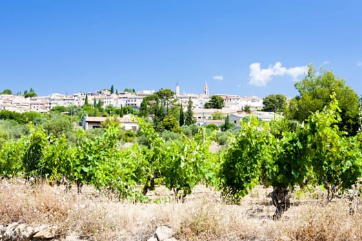 La Cadiere d'Azur with vineyards, Provence, France
