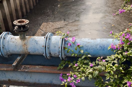 Blue Pipe of  opencast sewer system in Jakarta indonesia