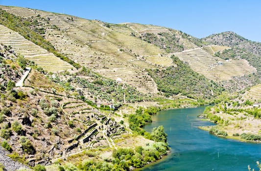 Douro Valley, Portugal
