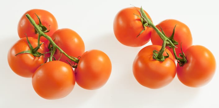 tomatoes