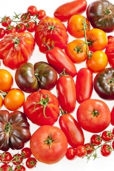 still life of tomatoes