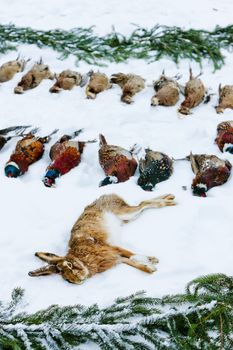 excludes of caught animals